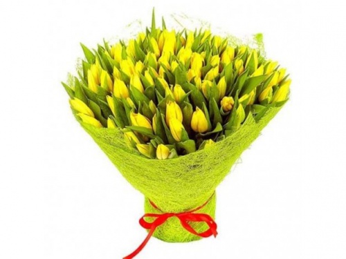 Желтые Тюльпаны
